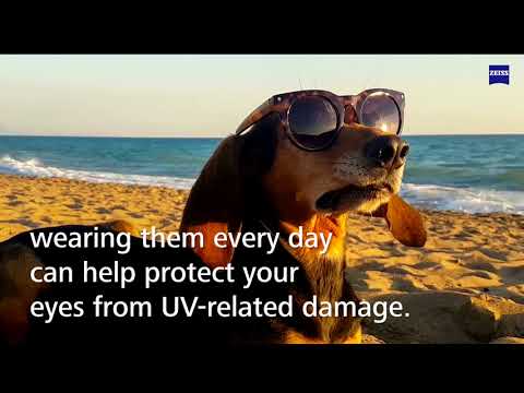 30 Little-Known Facts About Eyewear