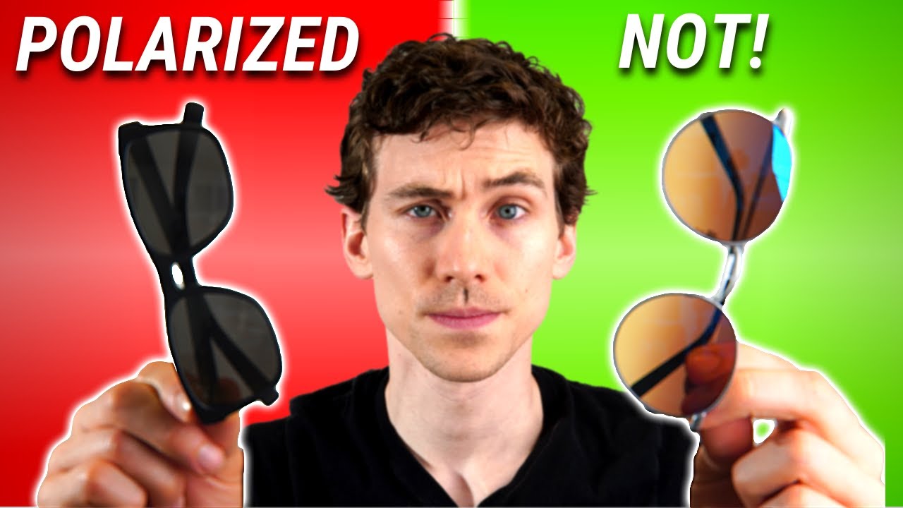 Polarized Transition Glasses