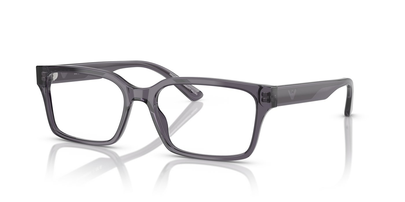 Sonnenbrille Emporio Armani EA3244 6106 55 17