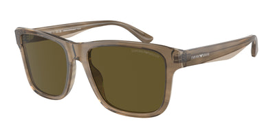 Emporio Armani EA4208 605573 56 18 太阳镜