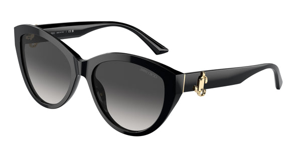 Jimmy Choo Magnified JC5007 50008G