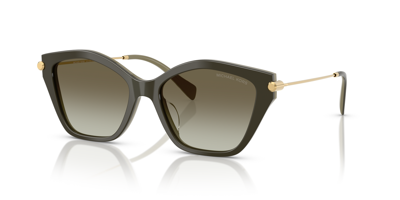 Gafas de Sol Michael Kors Catskills MK2246U 40193M 54 17