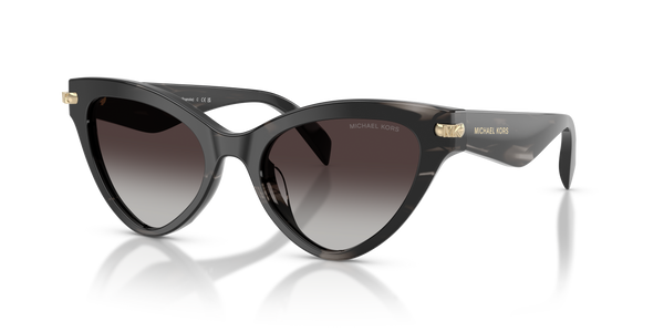 Gafas de Sol Michael Kors Roanoke MK2259U 40348G 52 19