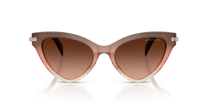 Gafas de Sol Michael Kors Roanoke MK2259U 40355M 52 19 — vista 2