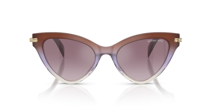 Gafas de Sol Michael Kors Roanoke MK2259U 40366X 52 19 — vista 2
