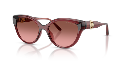 Gafas de Sol Michael Kors Nagoya MK2271U 317511 53 17