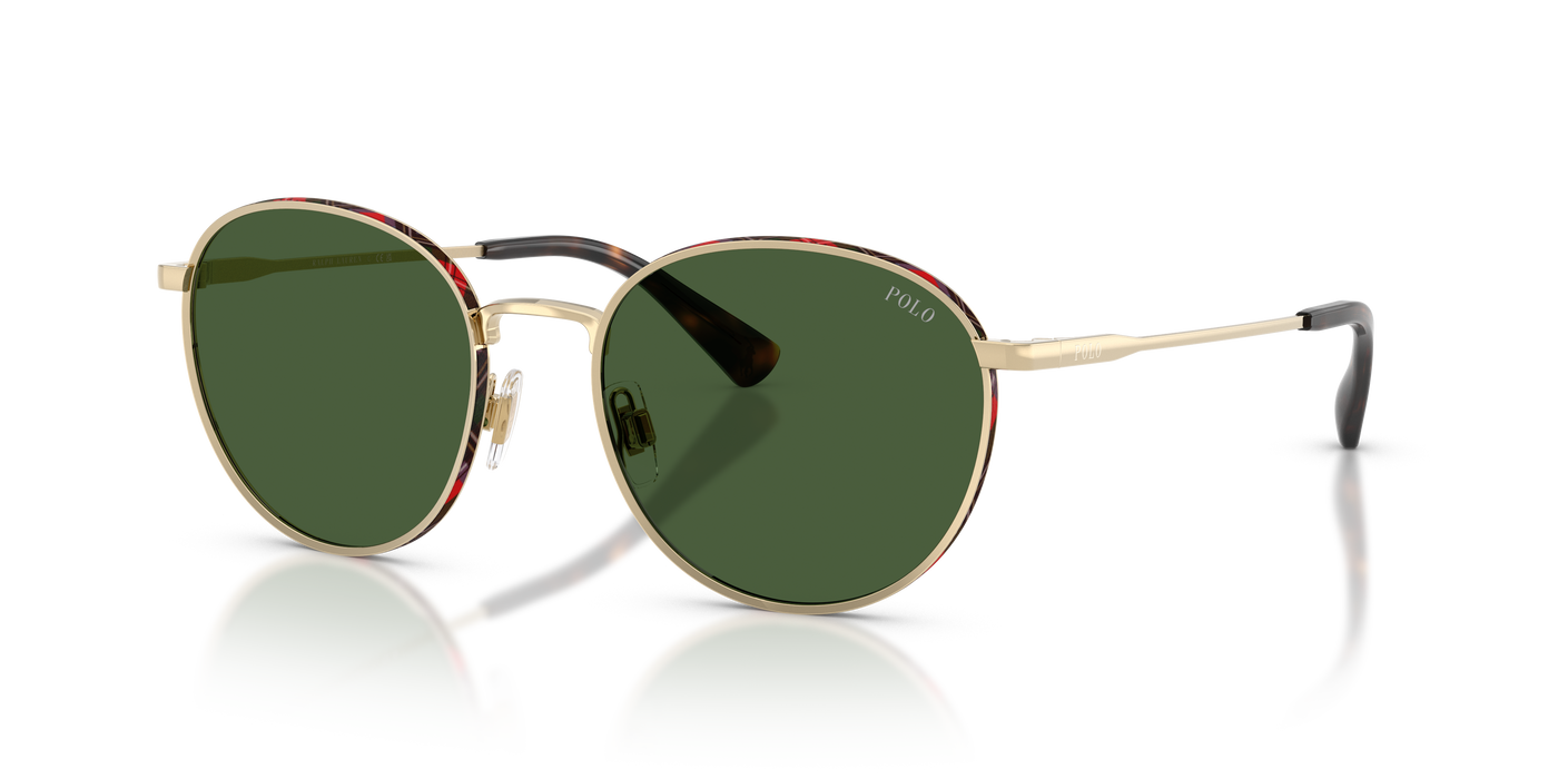 Gafas de Sol Polo Ralph Lauren PH3163 928671 53 19