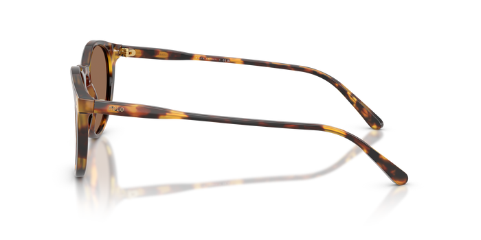 Gafas de Sol Polo Ralph Lauren PH4110 513473 50 21 — vista 3