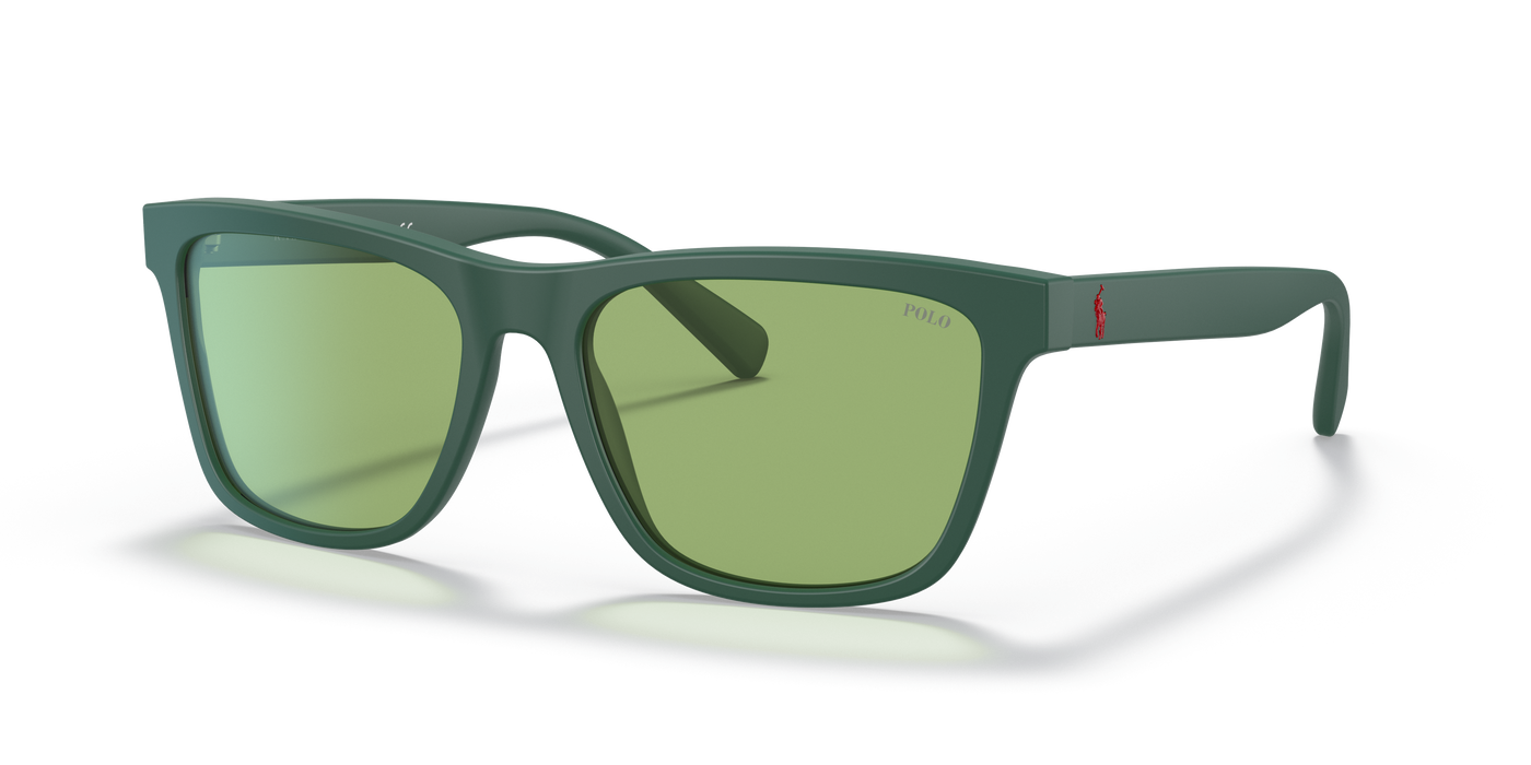 Gafas de Sol Polo Ralph Lauren PH4167 5421/2 56 17