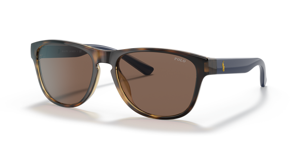 Gafas de Sol Polo Ralph Lauren PH4180U 500373 56 17