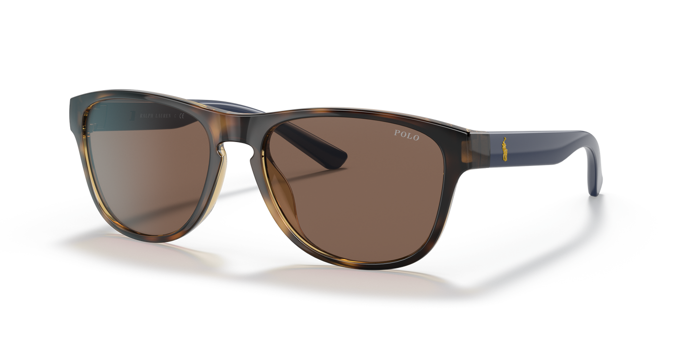 Gafas de Sol Polo Ralph Lauren PH4180U 500373 56 17