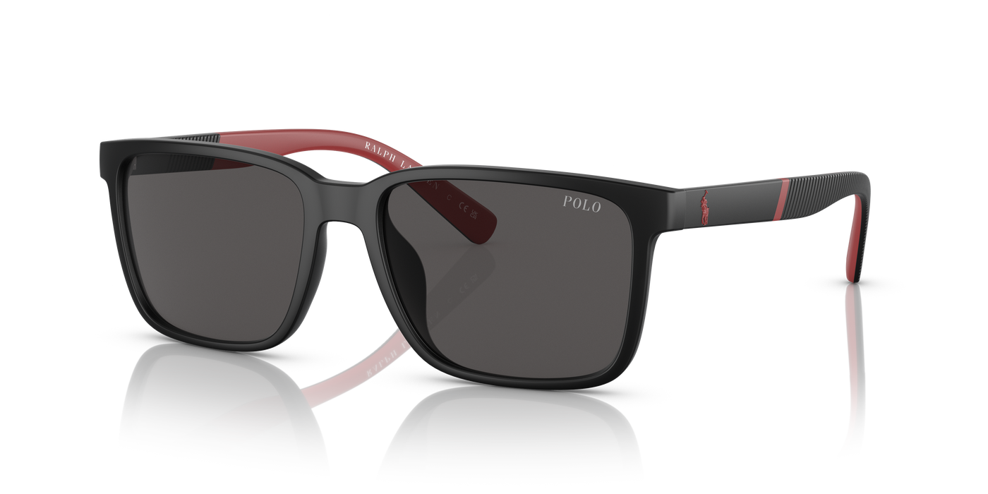 Gafas de Sol Polo Ralph Lauren PH4189U 537587 55 17