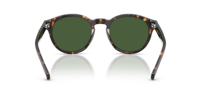 Sunglasses Polo Ralph Lauren PH4192 500371 51 21 — vista 6