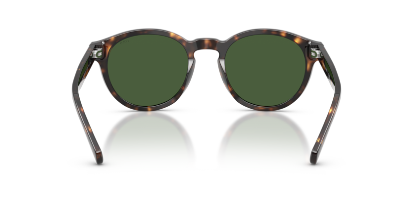 Gafas de Sol Polo Ralph Lauren PH4192 500371 51 21