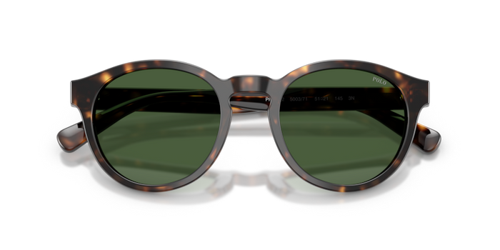 Sunglasses Polo Ralph Lauren PH4192 500371 51 21 — vista 2