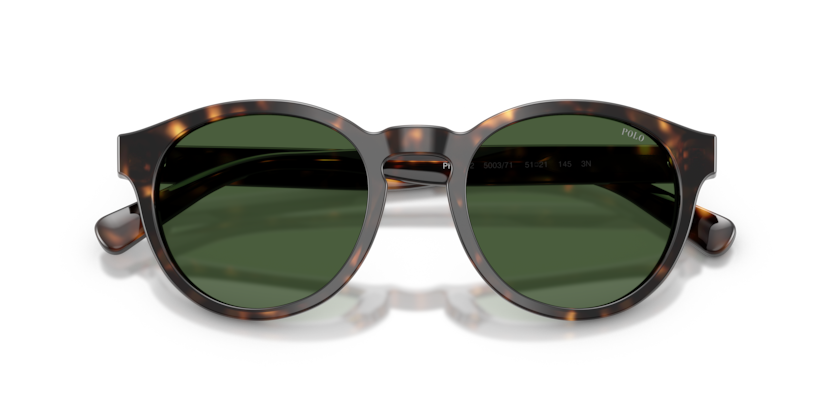 Gafas de Sol Polo Ralph Lauren PH4192 500371 51 21