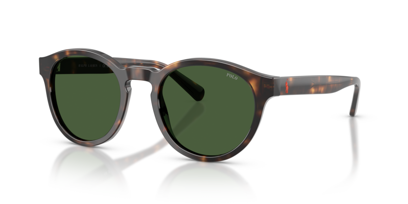 Sunglasses Polo Ralph Lauren PH4192 500371 51 21