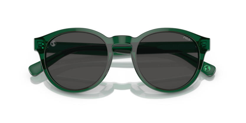 Солнцезащитные очки Polo Ralph Lauren PH4192 608487 51 21