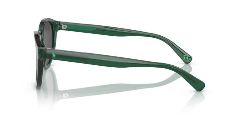 Солнцезащитные очки Polo Ralph Lauren PH4192 608487 51 21