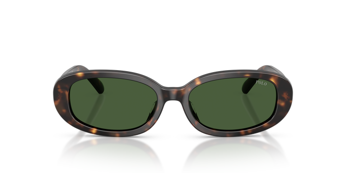 Gafas de Sol Polo Ralph Lauren PH4198U 500371 53 17 — vista 2