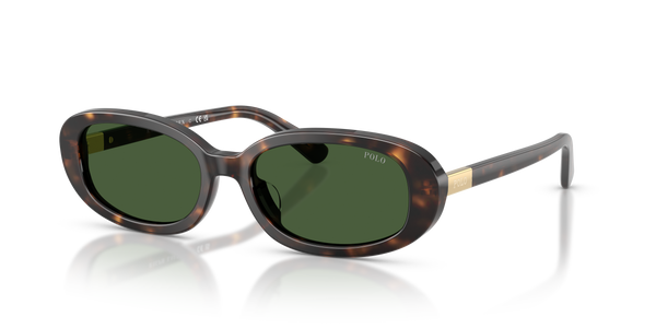 Gafas de Sol Polo Ralph Lauren PH4198U 500371 53 17