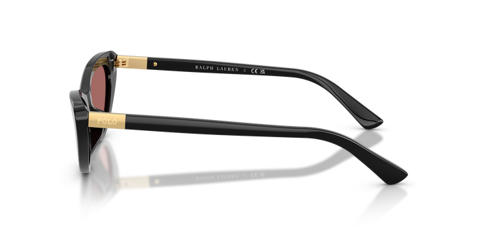 Gafas de Sol Polo Ralph Lauren PH4199U 500169 54 16 — vista 3