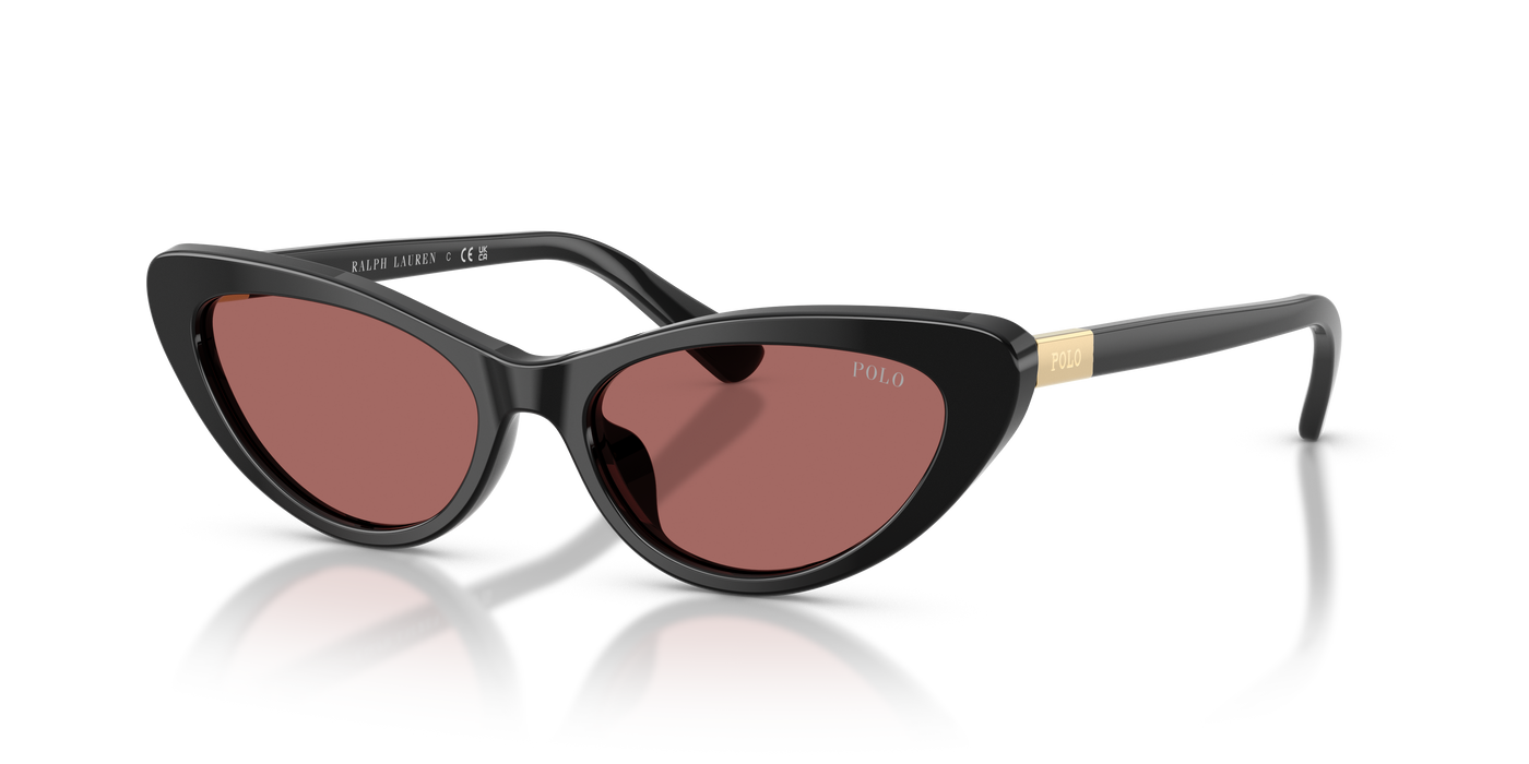 Gafas de Sol Polo Ralph Lauren PH4199U 500169 54 16
