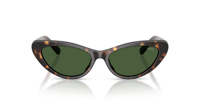 Gafas de Sol Polo Ralph Lauren PH4199U 500371 54 16 — vista 2