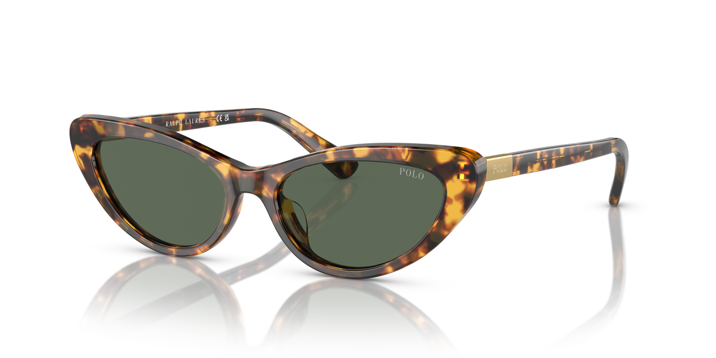 Gafas de Sol Polo Ralph Lauren PH4199U 607871 54 16