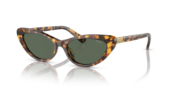 Gafas de Sol Polo Ralph Lauren PH4199U 607871 54 16