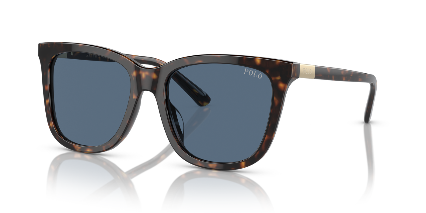 Sonnenbrille Polo Ralph Lauren PH4201U 500380 55 18