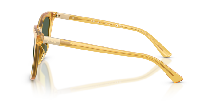 Lunettes de Soleil Polo Ralph Lauren PH4201U 500571 55 18 — vista 3