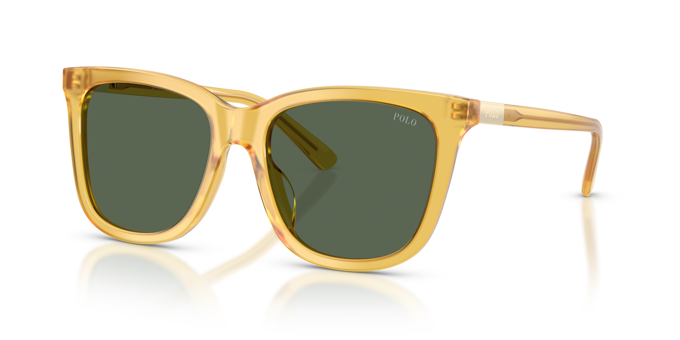 Lunettes de Soleil Polo Ralph Lauren PH4201U 500571 55 18