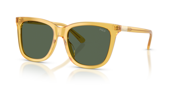 Gafas de Sol Polo Ralph Lauren PH4201U 500571 55 18