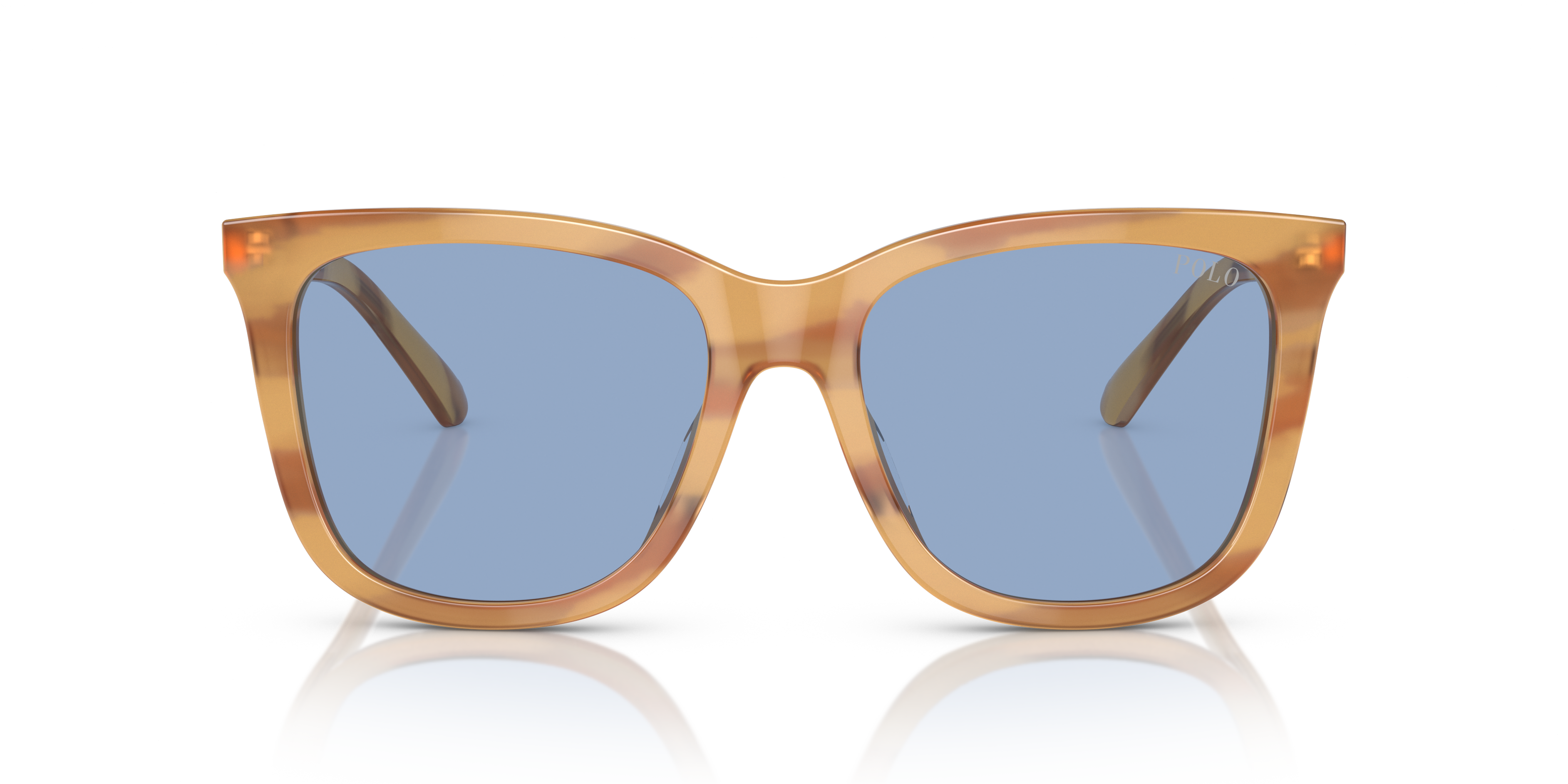 Gafas de Sol Polo Ralph Lauren PH4201U 607972 55 18