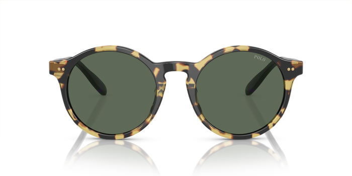 Gafas de Sol Polo Ralph Lauren PH4204U 500471 50 21 — vista 2