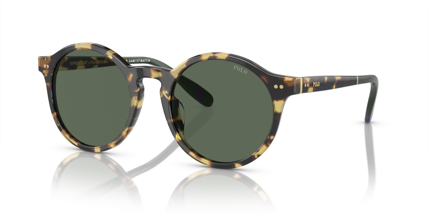 Gafas de Sol Polo Ralph Lauren PH4204U 500471 53 21