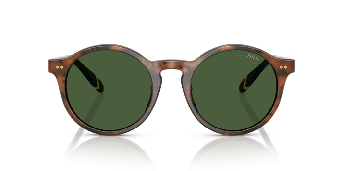 Gafas de Sol Polo Ralph Lauren PH4204U 562571 50 21 — vista 2