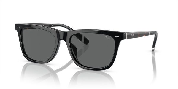 Gafas de Sol Polo Ralph Lauren PH4205U 500187 56 18