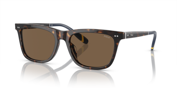 Gafas de Sol Polo Ralph Lauren PH4205U 500373 56 18