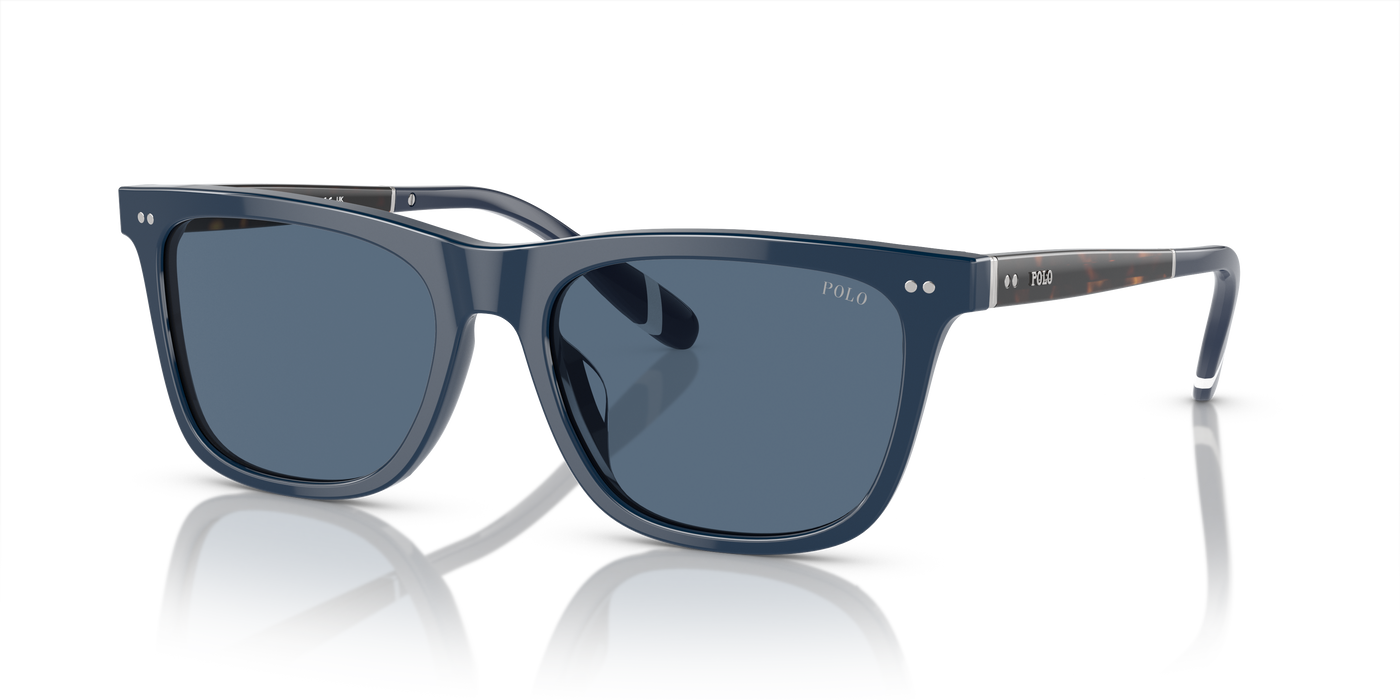 Gafas de Sol Polo Ralph Lauren PH4205U 546580 56 18
