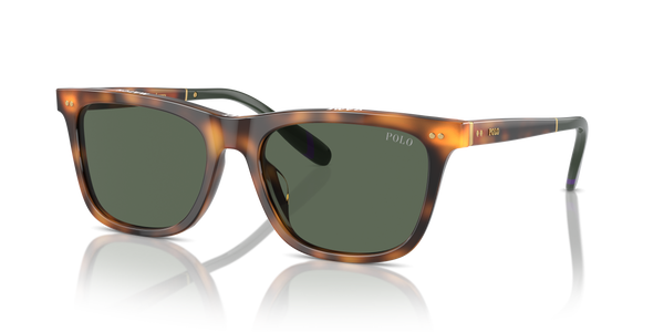 Gafas de Sol Polo Ralph Lauren PH4205U 608971 56 18