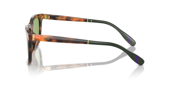 Gafas de Sol Polo Ralph Lauren PH4205U 6089/2 56 18 — vista 3
