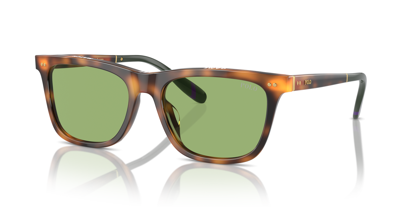 Gafas de Sol Polo Ralph Lauren PH4205U 6089/2 56 18