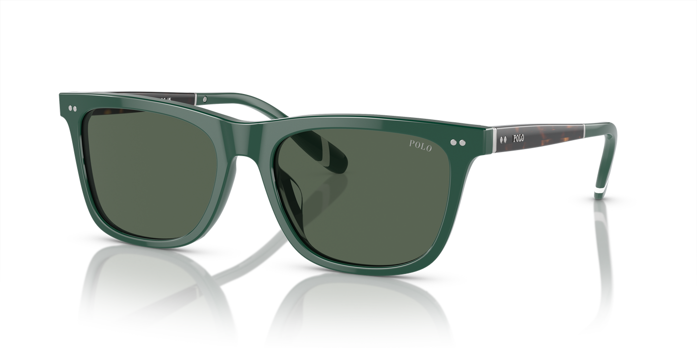 Gafas de Sol Polo Ralph Lauren PH4205U 614171 56 18
