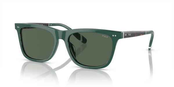 Gafas de Sol Polo Ralph Lauren PH4205U 614171 56 18