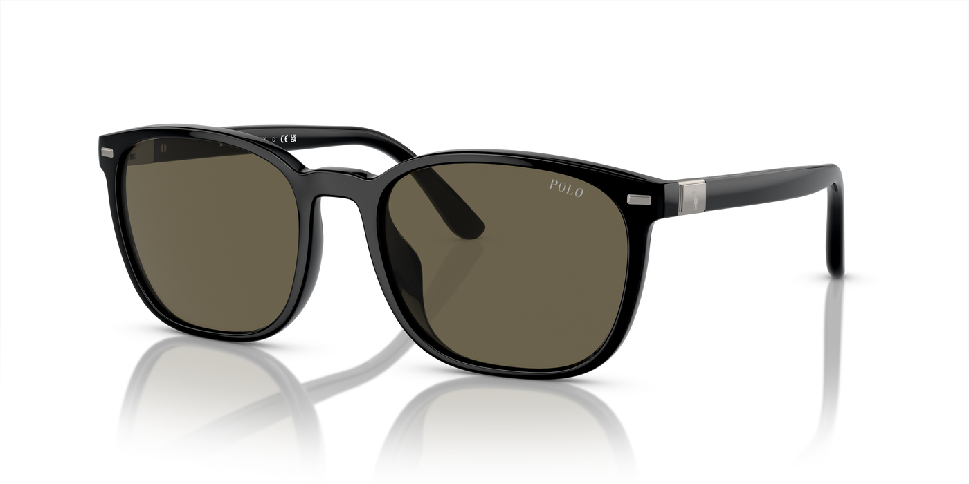 Gafas de Sol Polo Ralph Lauren PH4208U 5001/3 55 19