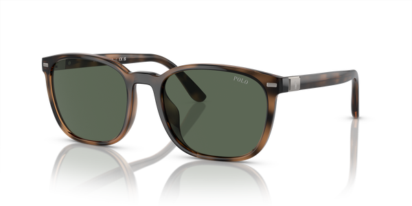 Gafas de Sol Polo Ralph Lauren PH4208U 597471 55 19