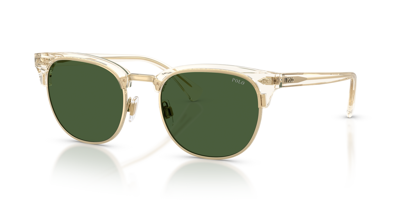 Gafas de Sol Polo Ralph Lauren PH4217 635771 53 21