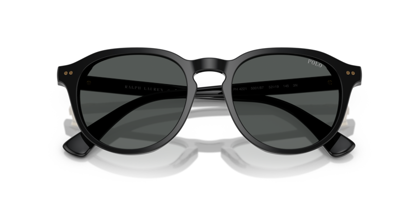 Sonnenbrillen Polo Ralph Lauren PH4221 500187 52 19